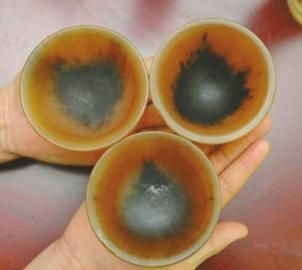 Ҫ��20��Ԫ��Ϭţ���롣