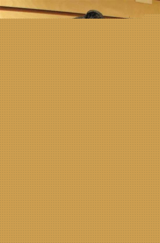 ��ֽ��ֽ��Ҳ����������