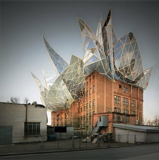 ����Ť��ר�ң�������Enrich���˾����°͵Ľ���