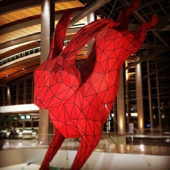 ��Ծ�������������й��ʻ���