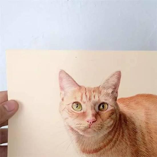 ��ֻ����Բ�����㻭�����ѣ�