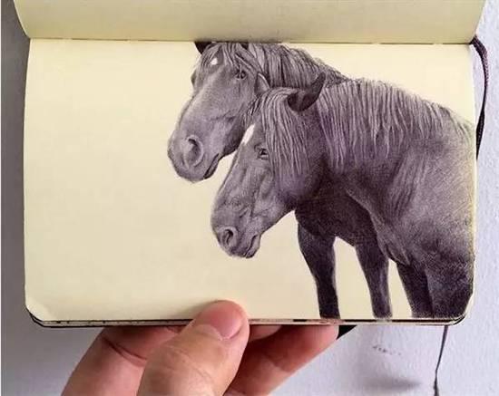 ��ֻ����Բ�����㻭�����ѣ�