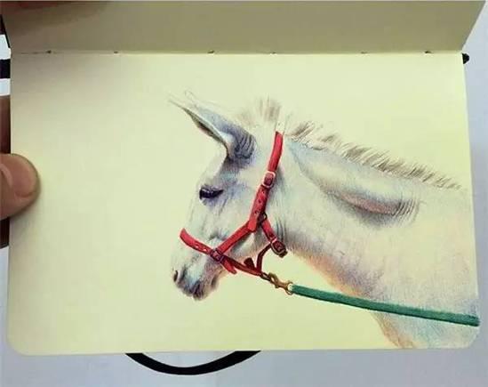 ��ֻ����Բ�����㻭�����ѣ�