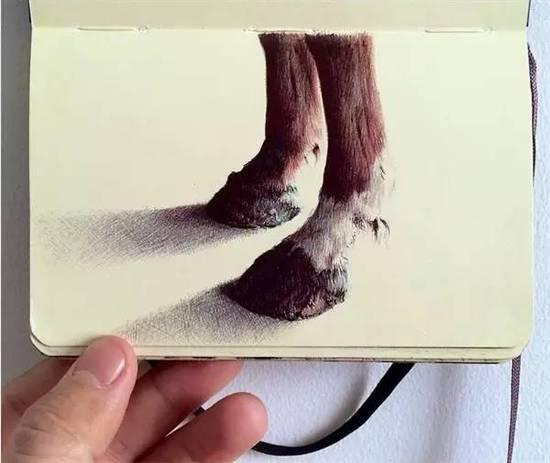 ��ֻ����Բ�����㻭�����ѣ�