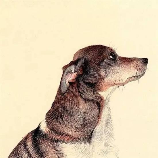 ��ֻ����Բ�����㻭�����ѣ�