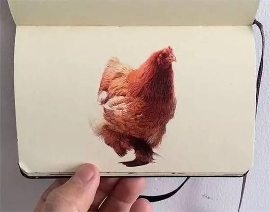 ��ֻ����Բ�����㻭�����ѣ�