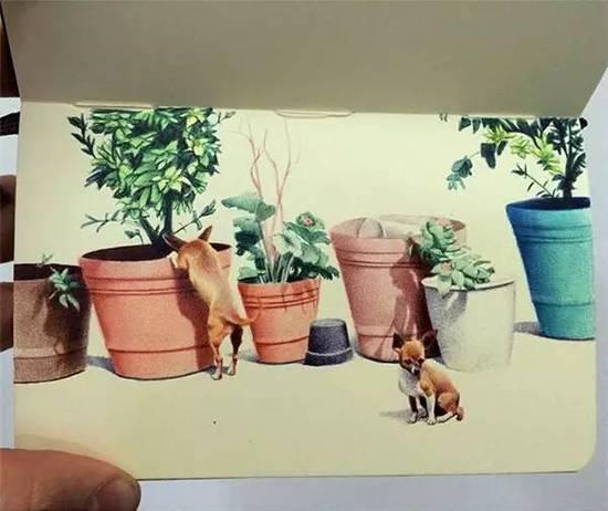 ��ֻ����Բ�����㻭�����ѣ�