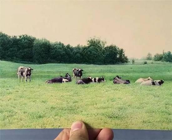 ��ֻ����Բ�����㻭�����ѣ�