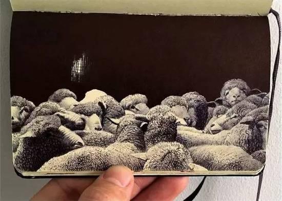 ��ֻ����Բ�����㻭�����ѣ�