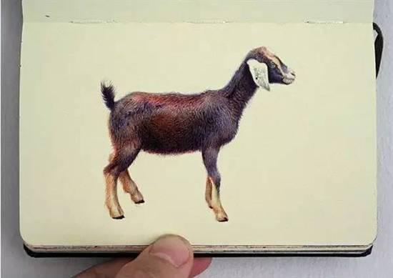 ��ֻ����Բ�����㻭�����ѣ�