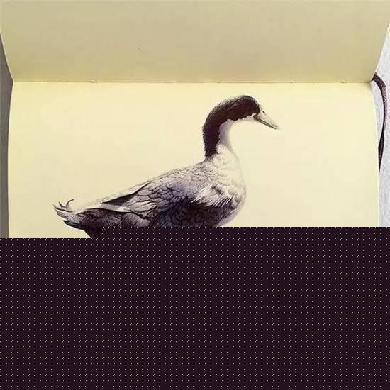 ��ֻ����Բ�����㻭�����ѣ�