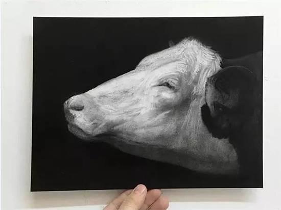 ��ֻ����Բ�����㻭�����ѣ�