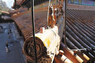 �ú�԰���Ƶ��������ݼ���Ե�ġ�������ˡ�������Ӱ���ú����Ϲ�ͼ