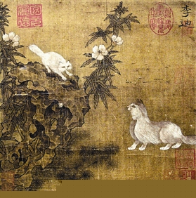 ����ϡ���èͼ��