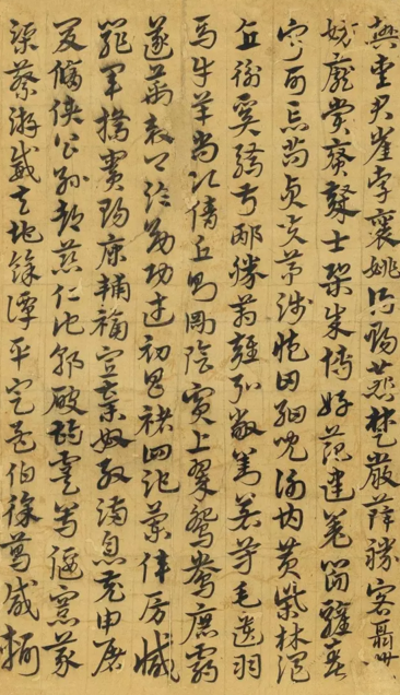 �������¡��ֲ�