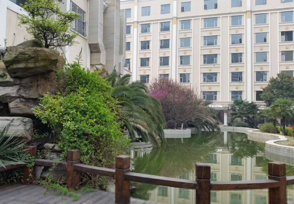 �������� ��ɫ�ղ��Ļ�֮��